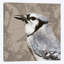 «Feathered III», reproduction sur toile-31293424-73214992-73214990