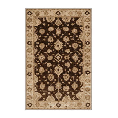 Machine Washable Overdyed Brown Area Rug