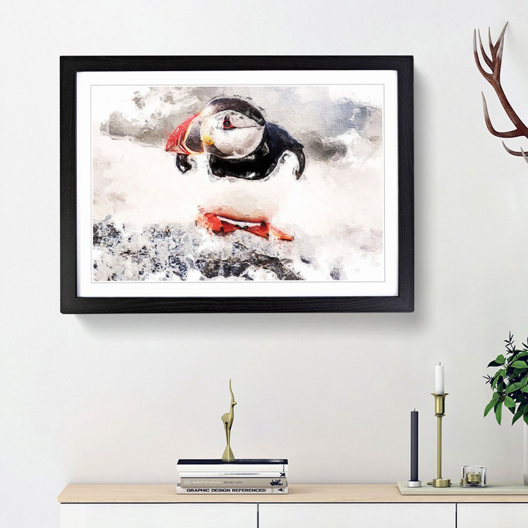 Atlantic Puffin - Framed Print