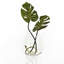 Vase de table en verre 8 pouces Breda, capacité de 107 oz