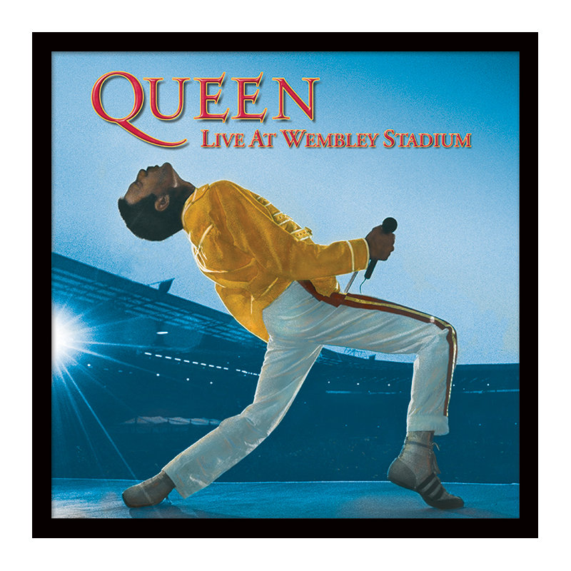 Single Picture Frame Memorabilia