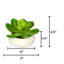 Jardinière avec succulent Echeveria artificielle-1784032527-1784039847