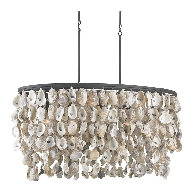 Lustre étagé unique à 5 lumières avec coquillage Stillwater