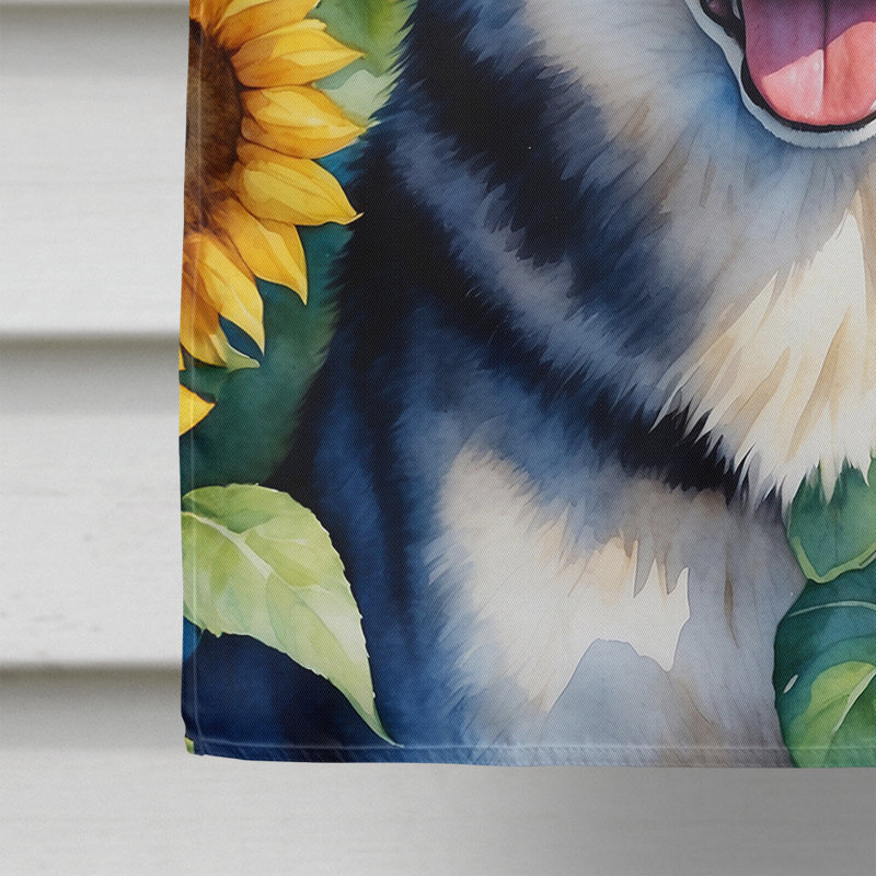 Drapeau de la maison du tournesol Malamute d'Alaska, Husky de Sibérie noir