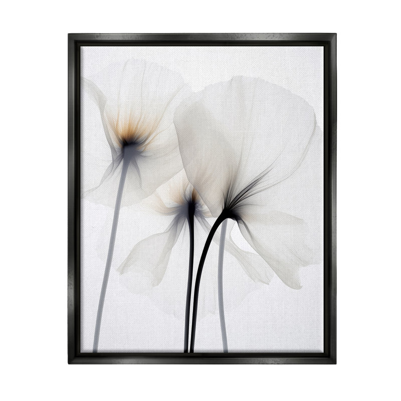 "White Poppy", reproduction d'art sur toile par Irena Orlov, H 30 po x l 24 po x P 1,7 po, Cadre flottant noir de jais