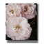 Toile épique Graffiti «Soft Pink Roses 2» par Debra Van Swearingen, 26 po x 30 po