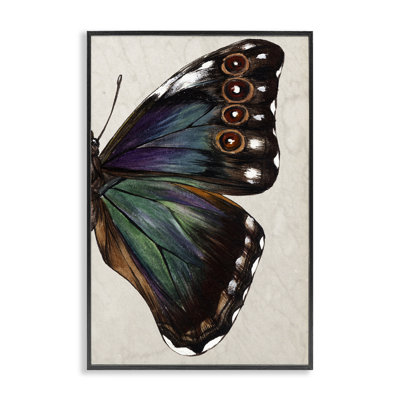 Classic Butterfly Wing Framed Giclee Art by Melissa Wang