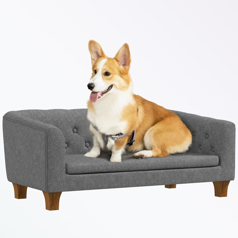 Pet sofa with armrests and button tufted back