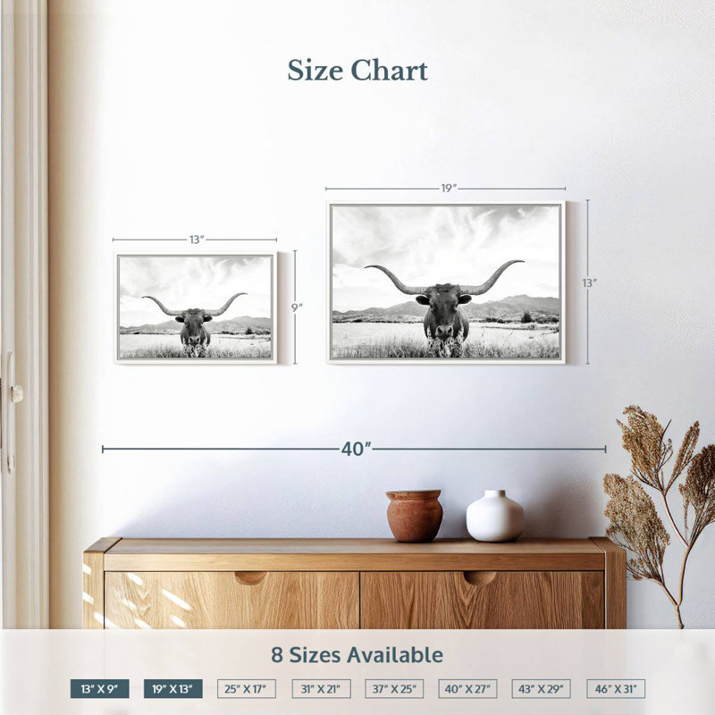 Longhorn Texas BW, Cadre flottant blanc, 19 po x 13 po