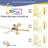 Pointsettia 52'' Ceiling Fan-1131303458-1131303561