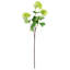 Pack of 6 x 70cm Viburnum Spray