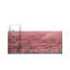 Tapis Rugs.com Ameneh Boutique-103970384