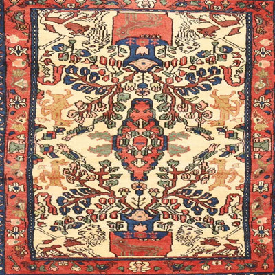 Oriental Indoor Rug