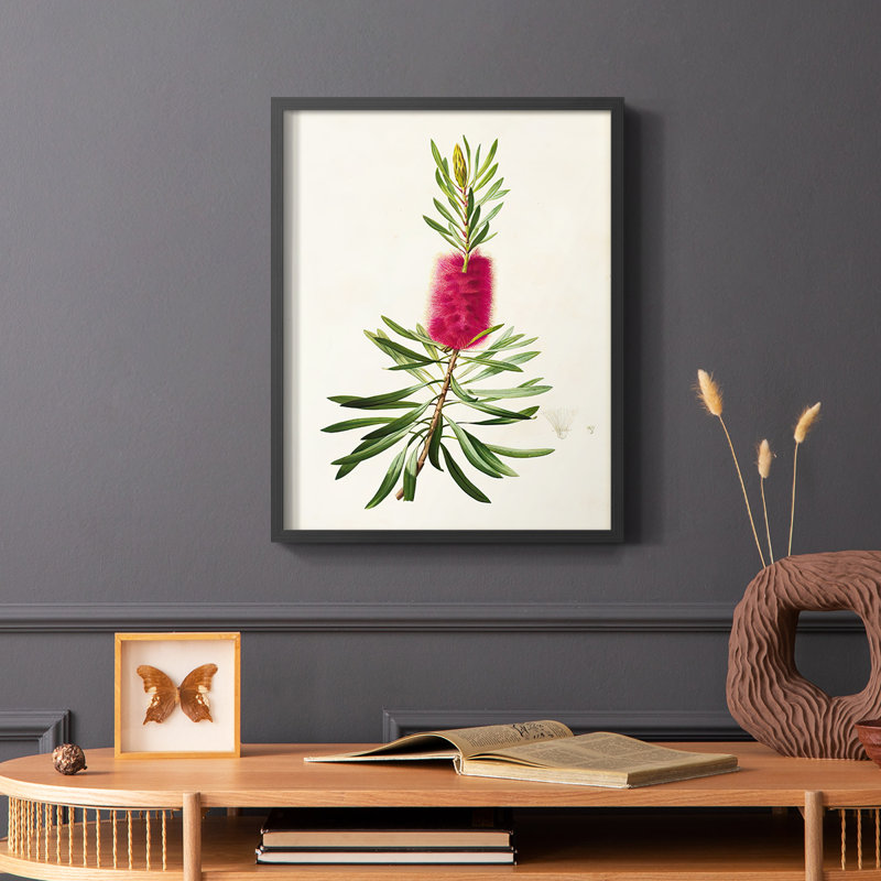 «Pretty Pink Botanicals VII», reproduction encadrée - bois massif, Noir, H 20 po x l 16 po