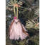Arcadia Home Shih Tzu Hand-Knit Ornament