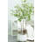 Artificial Ficus Tree, Large Simulated Ficus Tree With Smooth And Shiny Leaves-1084900335