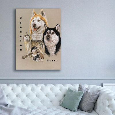 " Siberian Husky " by Barbara Keith