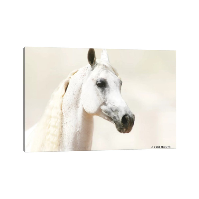 Aloof by Kari Brooks - Wrapped Canvas Gallery-Wrapped Canvas Giclée, 66.04 cm H x 45.72 cm W