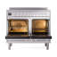 ILVE Professional Plus II 40 in Induction Range-402666329