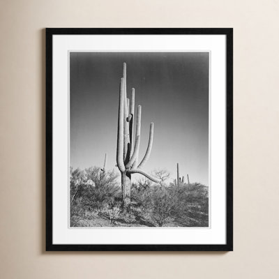 Saguaro National Monument Print by Ansel Adams