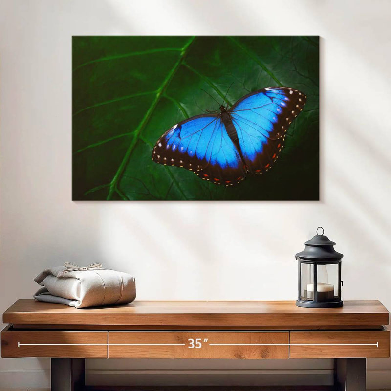 Joli papillon bleu