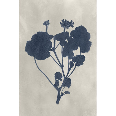Navy Pressed Flowers II - Wrapped Canvas Painting
