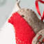 Embroidered Robin Felt Craft Mini Kit MKRBN1F