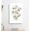 Mixed Leptosiphon Flowers - Wrapped Canvas Painting Print-55330490
