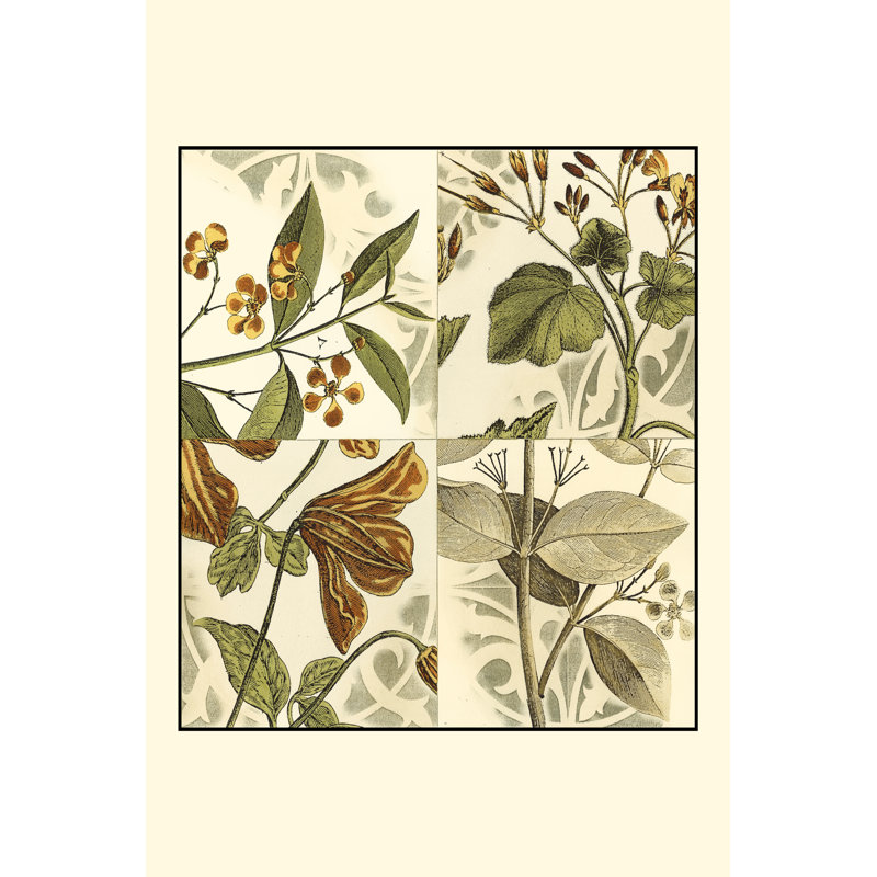 Small Botanical Quadrant II by Vision Studio - Wrapped Canvas Painting, 30cm H x 20cm W x 3.8cm D