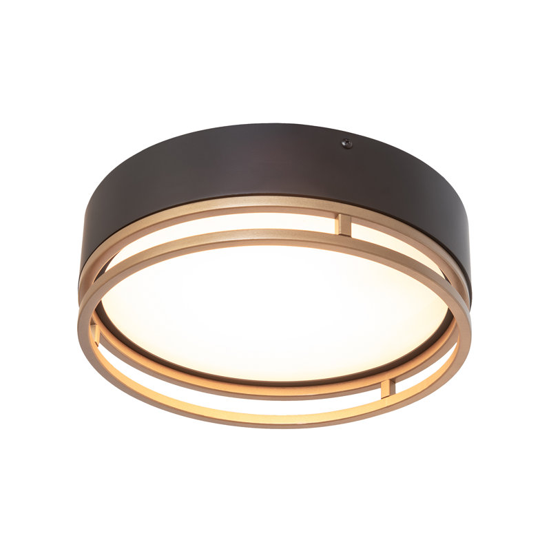 1 - Light Flush Mount