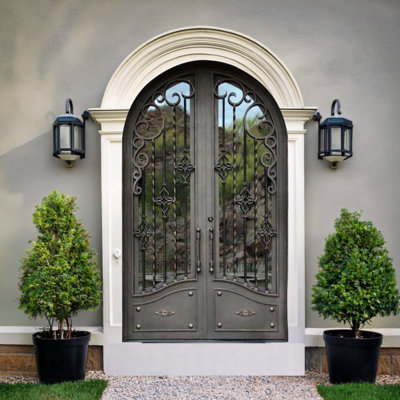 Wisteria Arched Iron Door
