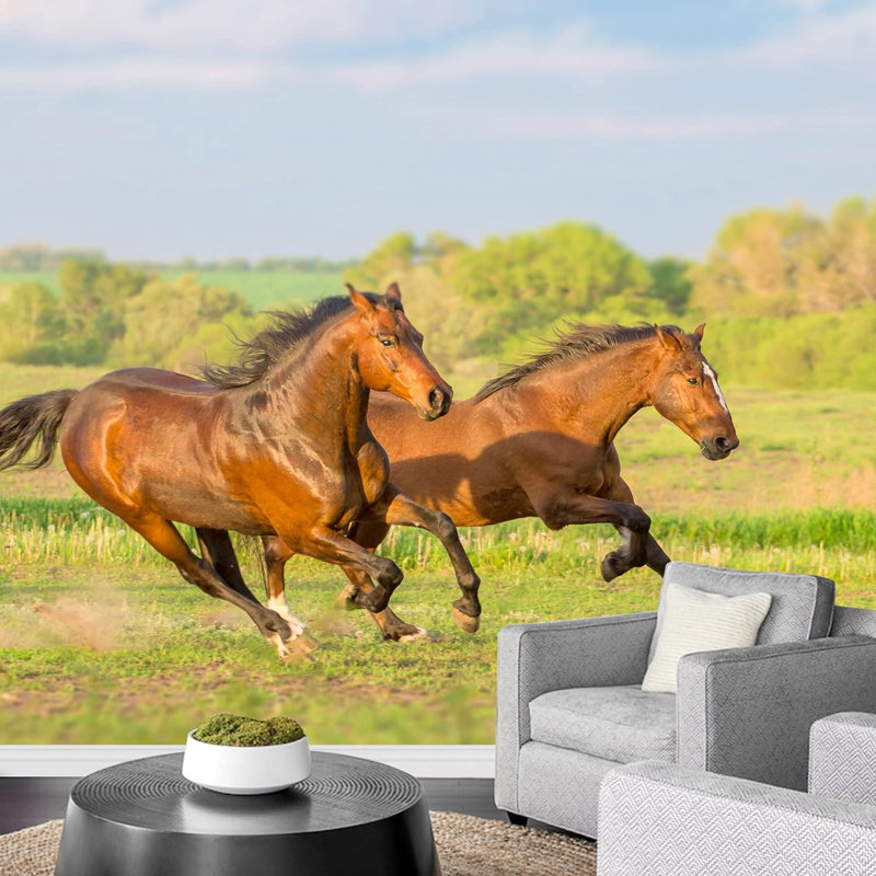 Wild Bronco Mustang Horse Field, animaux, photographie de nature, paysage décoratif, paysage, L 66 po x l 96 po