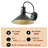 Rafal 1-Light Dusk To Dawn Sensor and Motion Sensor Outdoor Wall Lights