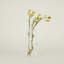 Aurora Handmade Glass Table Vase-505317141-505317128