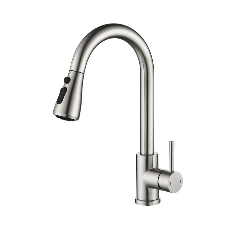 Belfry Kitchen Pull Out Kitchen Faucet