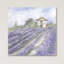 Lavender Fields par Debi Coules - Estampe numérique sur toile tendue avec châssis-1603705005-1523266518