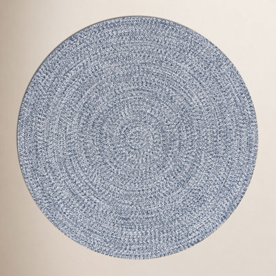 Edie Hand Braided Blue Indoor / Outdoor Area Rug