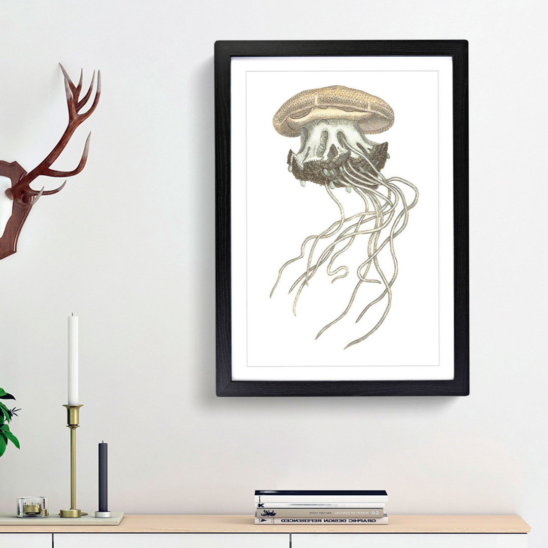 Crown Jellyfish by George Shaw - Framed Print
