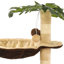 Lilyanna 50cm H Cat Tree