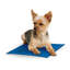 Tapis Coolin 'Pet-21228838