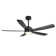 Giragos 52'' 5-Blade Large Indoor/Covered Outdoor Ceiling Fan With Led Lights and Remote, Quiet Reversible DC Motor, 5''/10'' Downrods, Timer