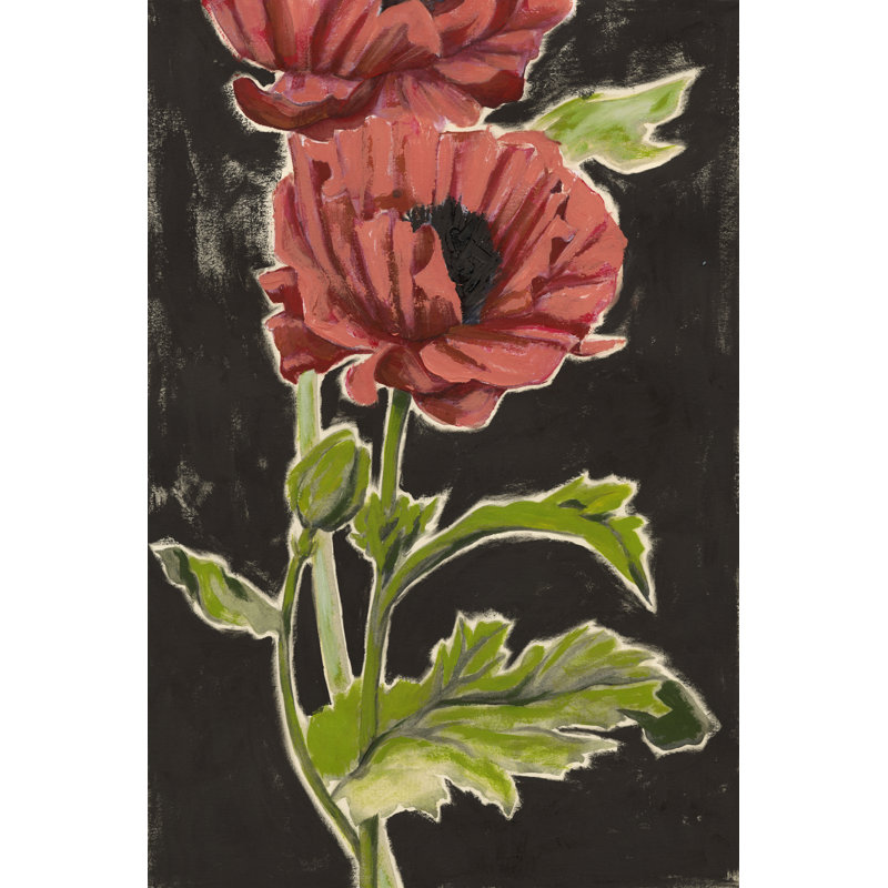 Haloed Poppies II by Grace Popp - Wrapped Canvas Print, 30cm H x 20cm W