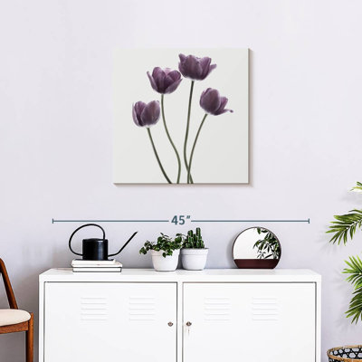 Harnek tulipes mauves