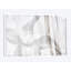 «Black and White Clematis» par Savanah Plank, impression sur toile-73621240-73621239-31923608