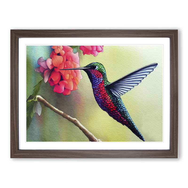 Hummingbird Vol.6 - Single Picture Frame Print, 46cm H x 64cm W x 2cm D, Walnut