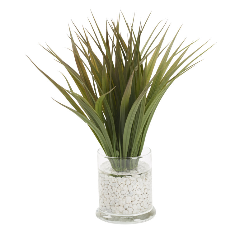 Herbe sauvage dans un bocal en verre
