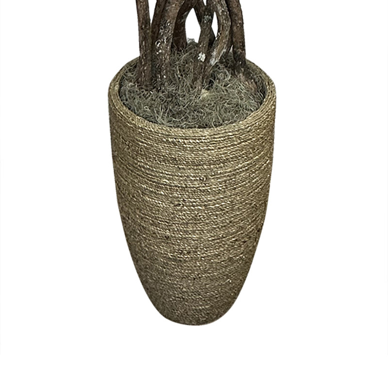 6.5' Faux Italian Ruscus Tree in Seagrass-Wrapped Pot, 78" H x 49" W x 49" D
