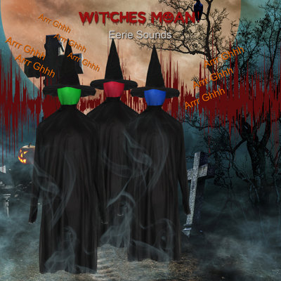 5.25ft Halloween Animated Black Witch Decoration with Color-Changing LED Head, Spooky Sounds, Indoor/Outdoor Standing Yard Decor