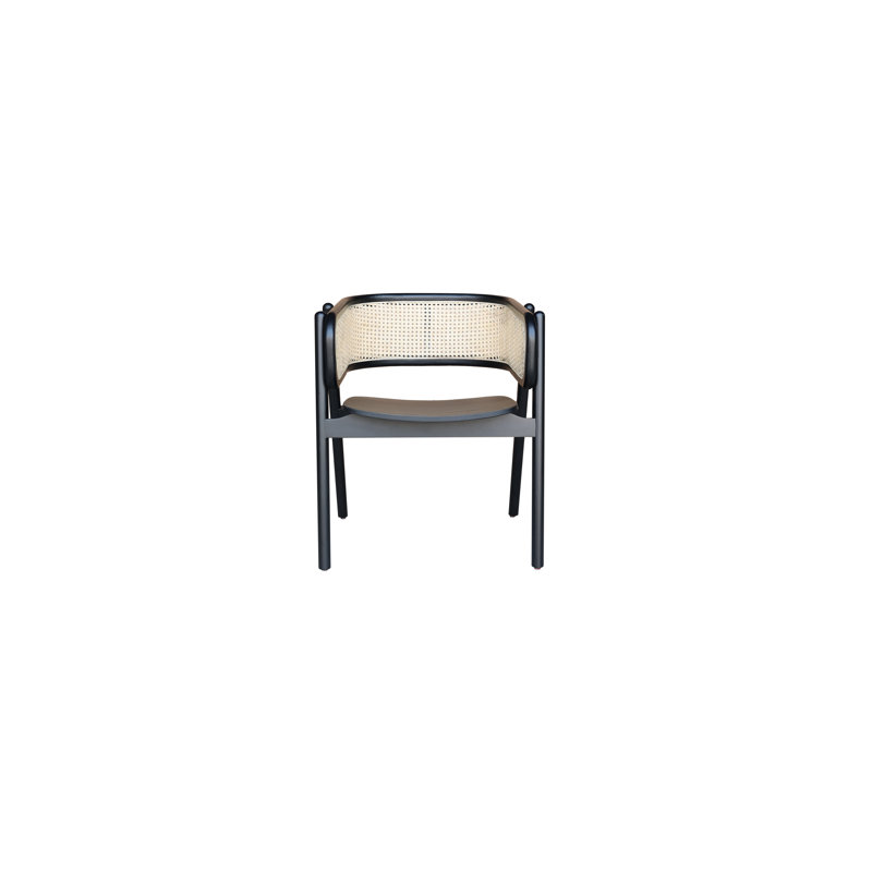 Chaise avec accoudoirs Pinajian