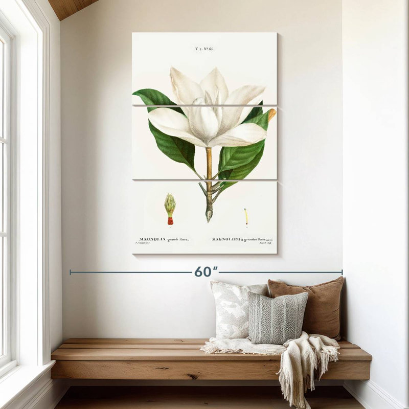 Harnek Magnolia du Sud, H 50 po x l 32 po